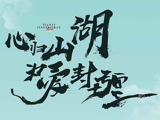 天一地产|镜台山项目户型折页