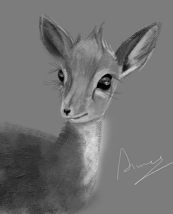 練習(xí)作品（圖ZMTU3NjU5NzYw） - 創(chuàng)作習(xí)作 - 站酷設(shè)計(jì)師食野野野原創(chuàng)素材 - 站酷ZCOOL