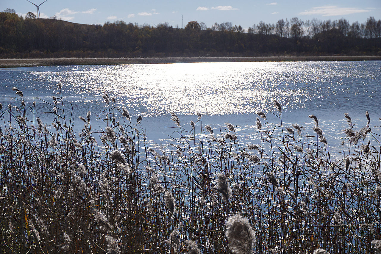 金秋乌兰布统草原-塞罕坝林场