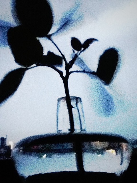 天津这边风很大,这一时间段没有雾霾。