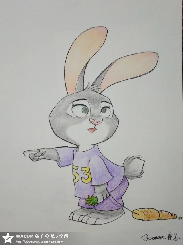 疯狂动物城兔子彩铅画图片