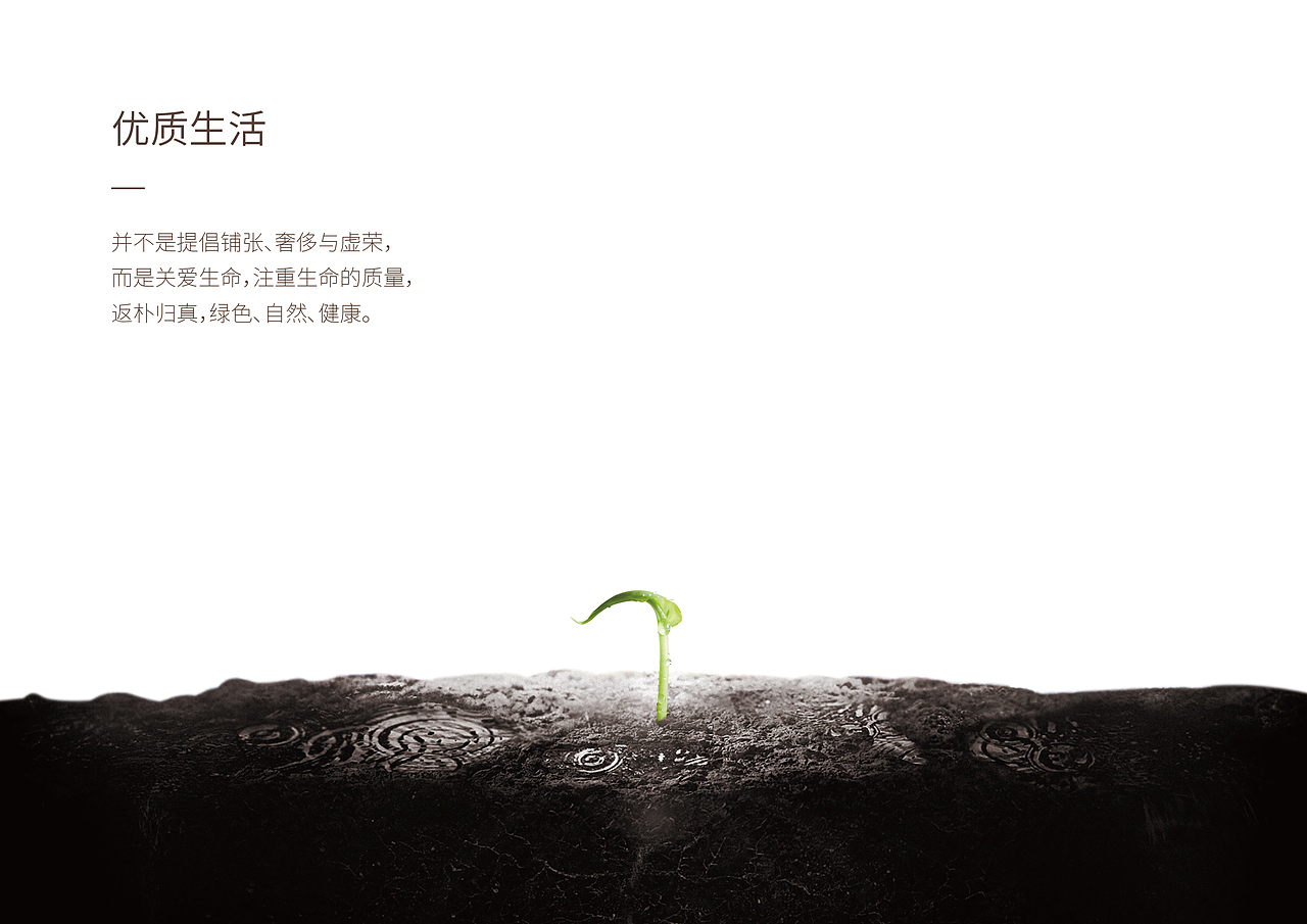 一个水果品牌设计提案