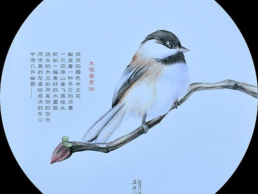 临摹彩铅