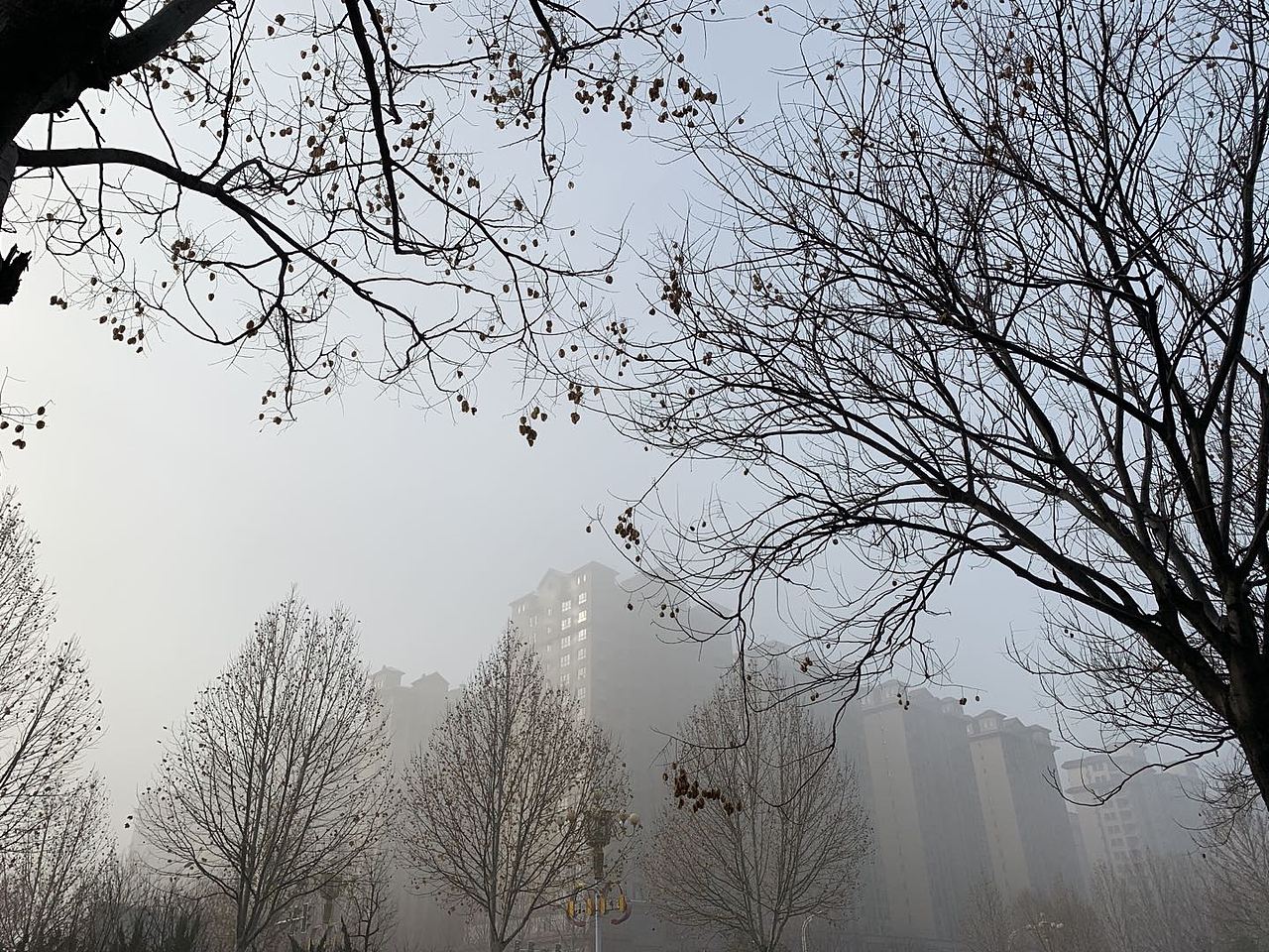 日常（图ZMjE0Njg1OTky） - 其他摄影 - 站酷设计师iced_A原创素材 - 站酷ZCOOL