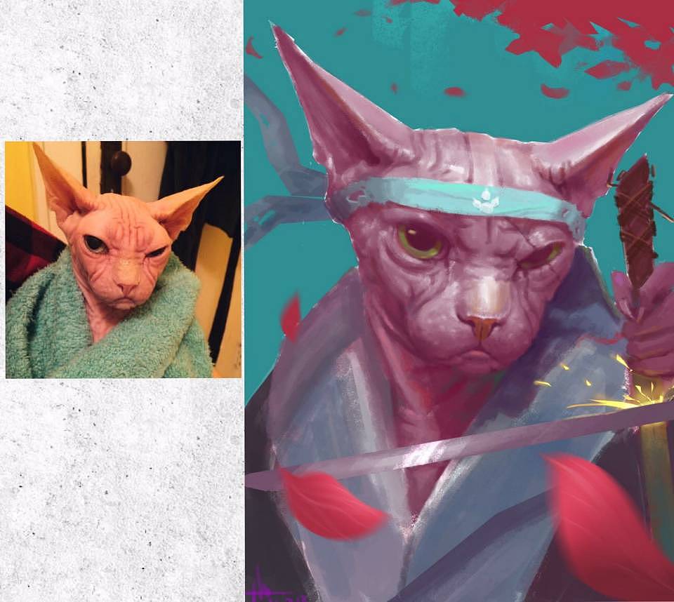 猫奴对画猫的理解（图ZNTg4ODExNjA=） - 创作习作 - 站酷设计师暖暖社社长原创素材 - 站酷ZCOOL