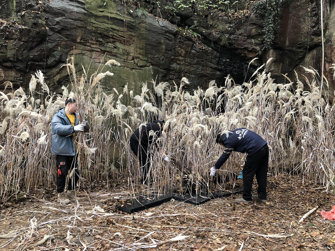 “为石佛 种一片芦苇荡”（图ZMjMxOTk5ODQw） - 景观设计 - 站酷设计师铁骨文化原创素材 - 站酷ZCOOL