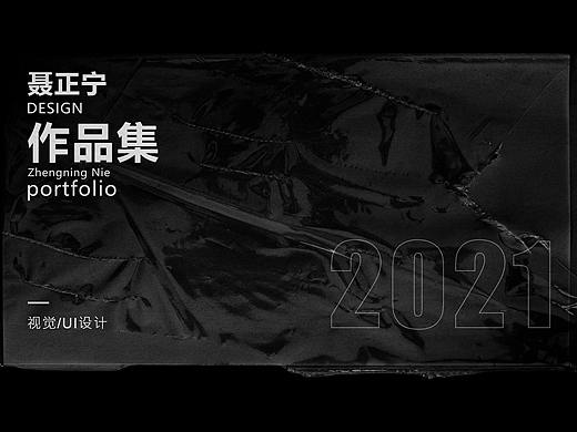 聂 正 宁 作 品 集