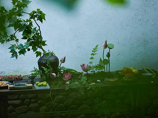 夏日终曲｜山林之味