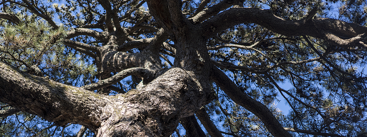 北京潭柘寺祈福随拍（图ZMjk1MjMyNjUy） - 风光摄影 - 站酷设计师明原创素材 - 站酷ZCOOL