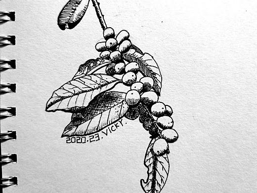 山间遇见-简笔画