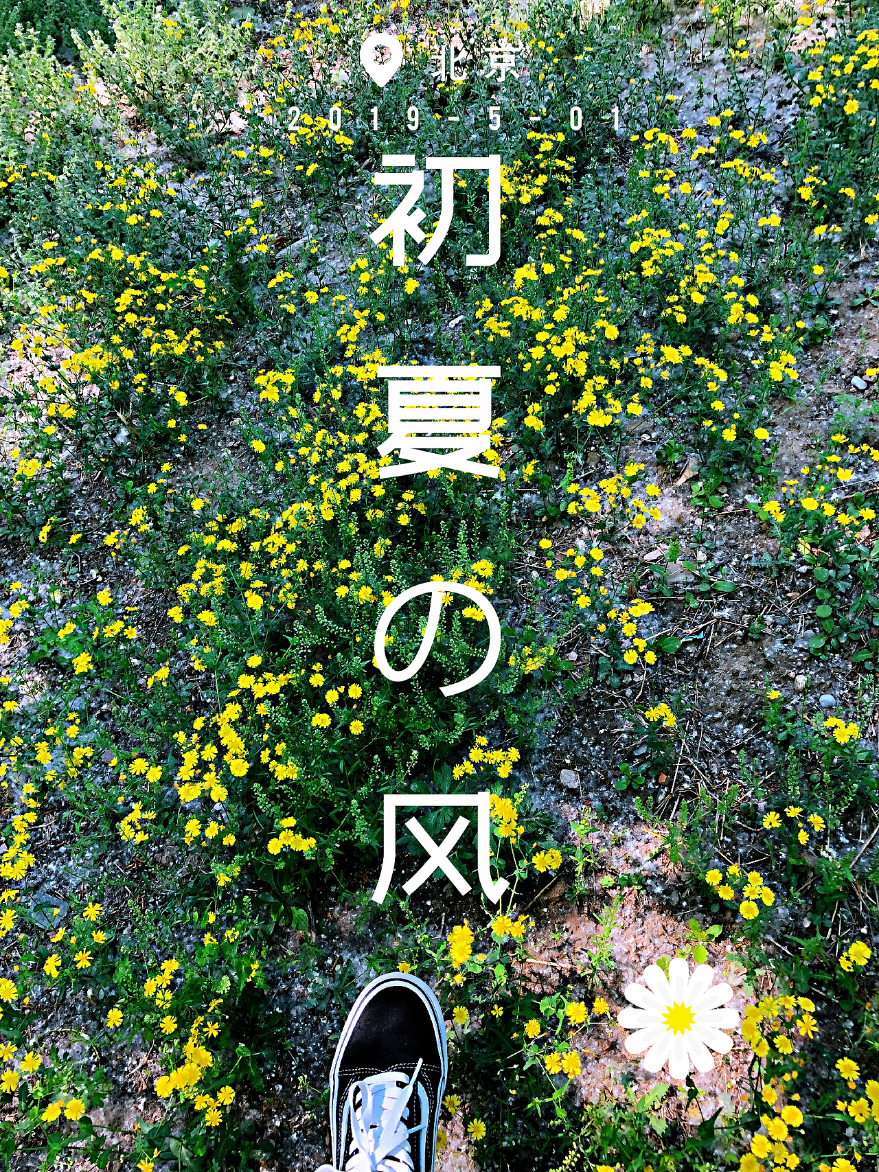 遇见·初夏（图ZMTU2NjU5MDUy） - 海报 - 站酷设计师JINGJING_Design原创素材 - 站酷ZCOOL