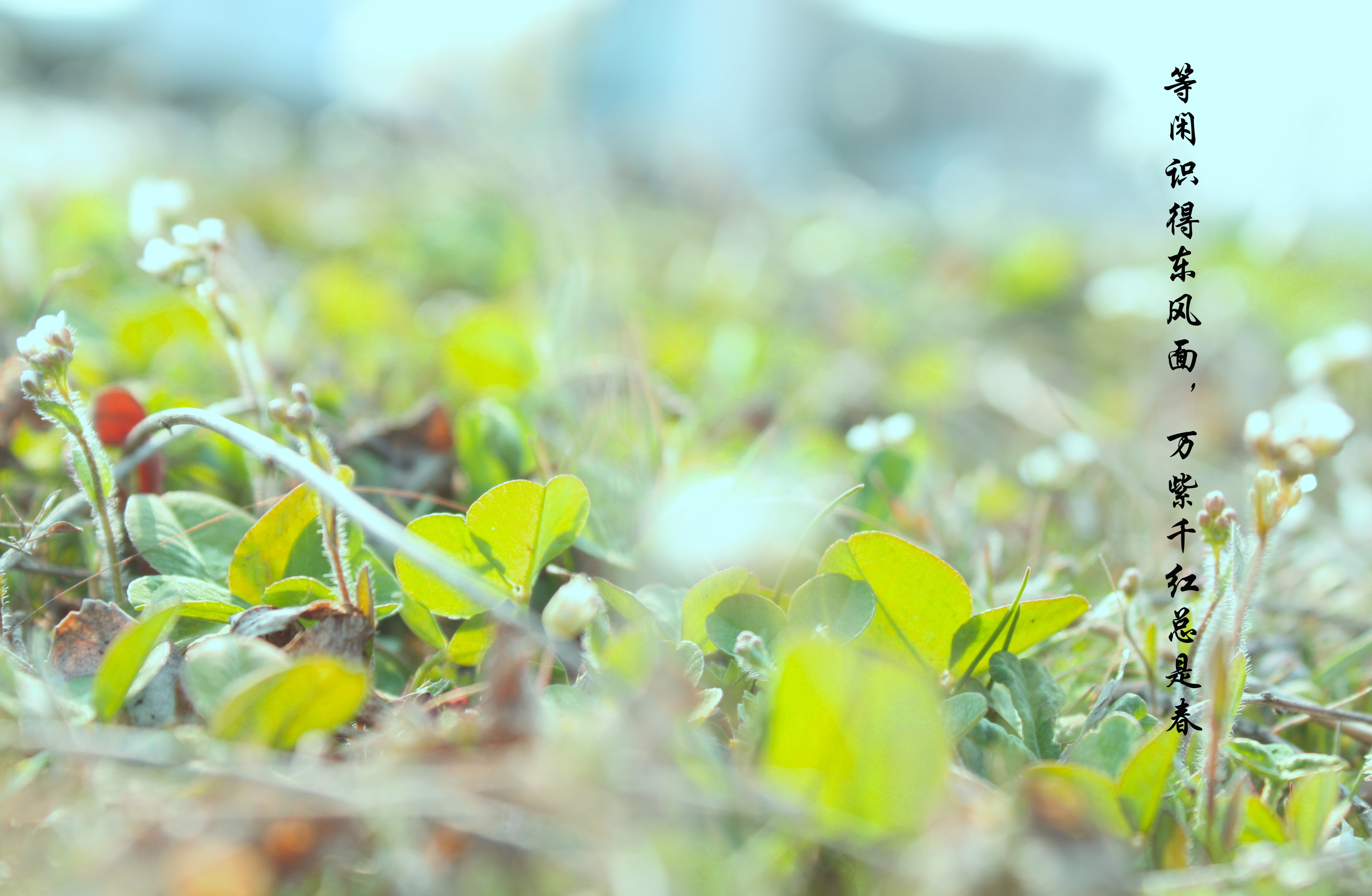 璦姑娘的個(gè)人主頁(yè)（封面預(yù)覽） - 主頁(yè)封面設(shè)置 - 站酷設(shè)計(jì)師璦姑娘原創(chuàng)素材 - 站酷ZCOOL