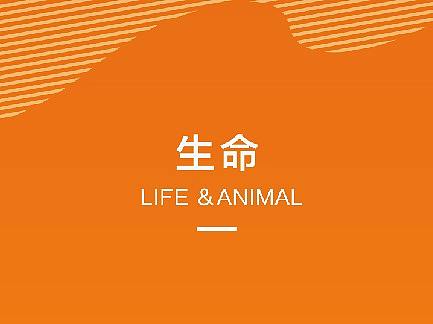 隨手創(chuàng)作（個人主頁-ZMzY4MDY2MTI=） - 圖案 - 站酷設計師大昌原創(chuàng)素材 - 站酷ZCOOL