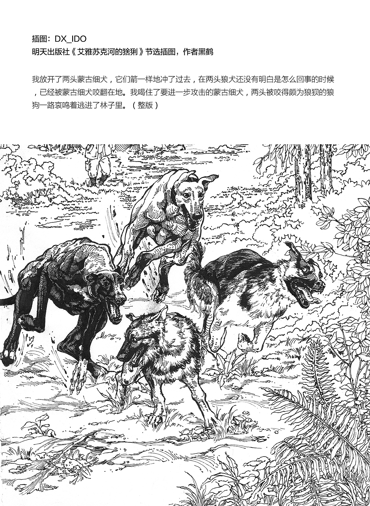 2189 一些插图整理（图ZMTI5NTg5MTk2） - 绘画 - 站酷设计师DX_IDO原创素材 - 站酷ZCOOL