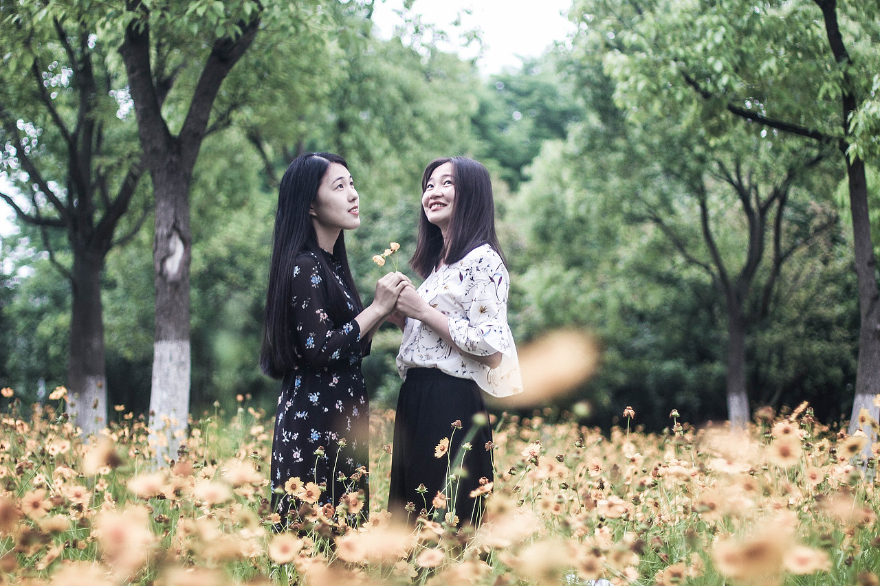 -----------------分格线---------------