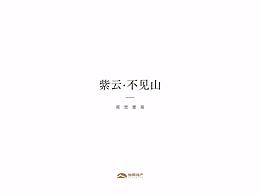 方案设计