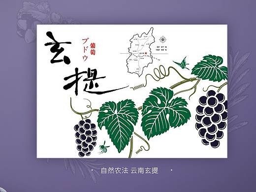 【 乐拉Lurra品牌视觉作品分享】