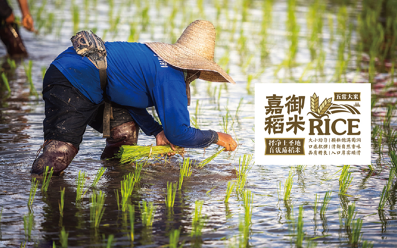 擎天御道 | 产品包装设计