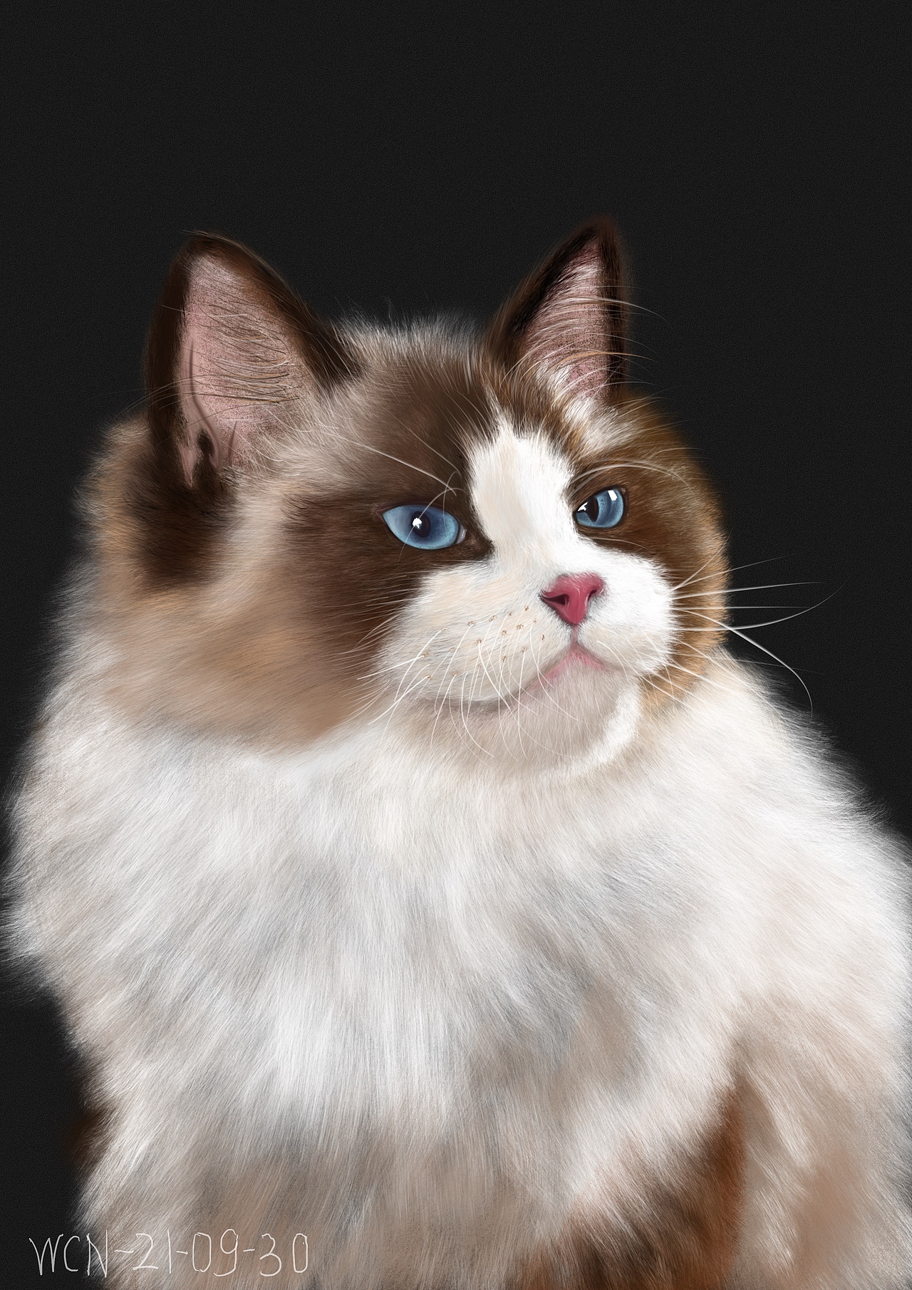 厚涂之动物毛发练习