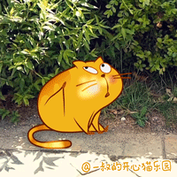 偶遇开心猫-1   ( 真实生活中的开心猫 )