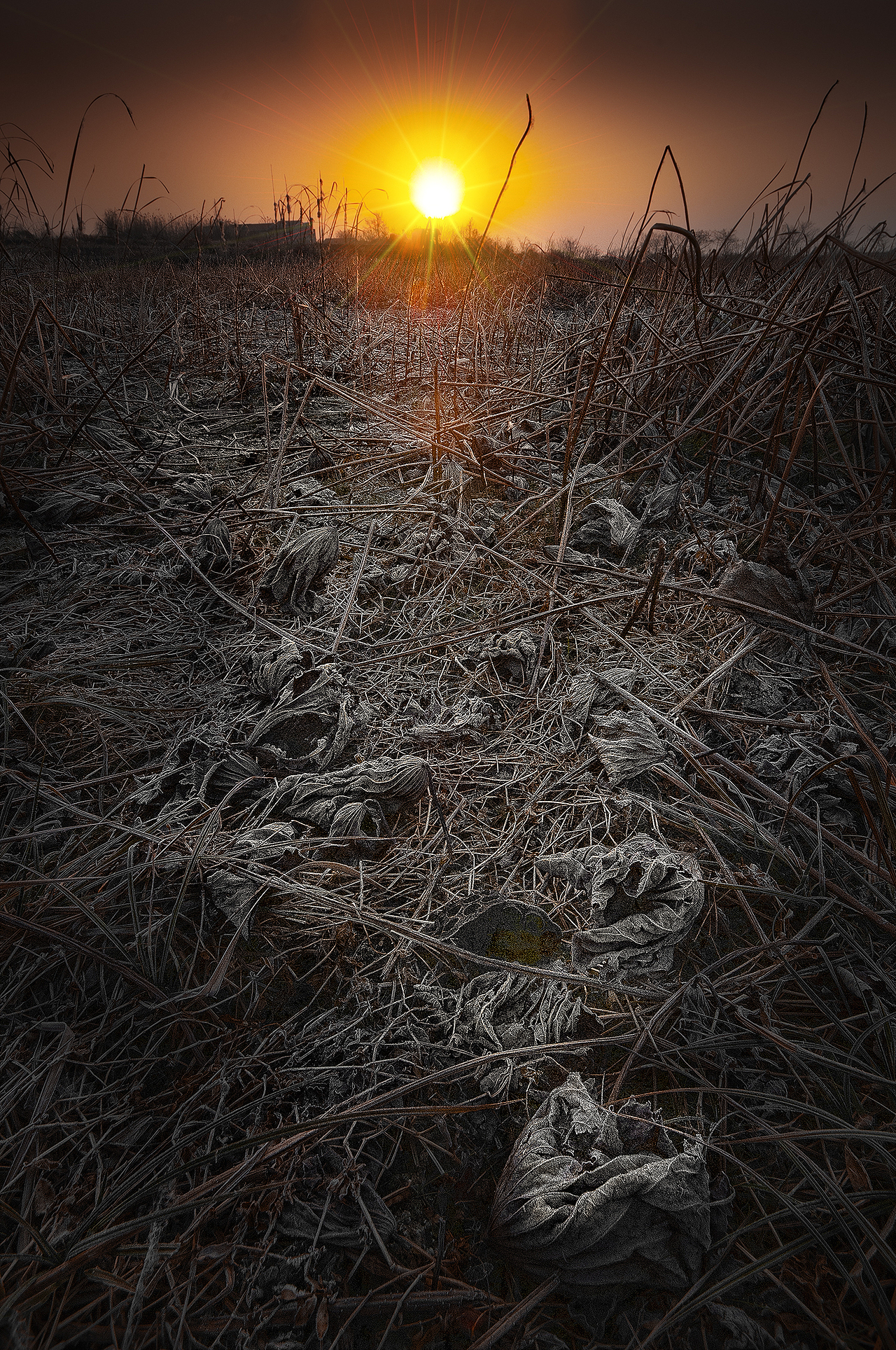 《归去来兮》（图ZMTQ4NjE2Mzcy） - 风光摄影 - 站酷设计师闲云远鹤1965原创素材 - 站酷ZCOOL