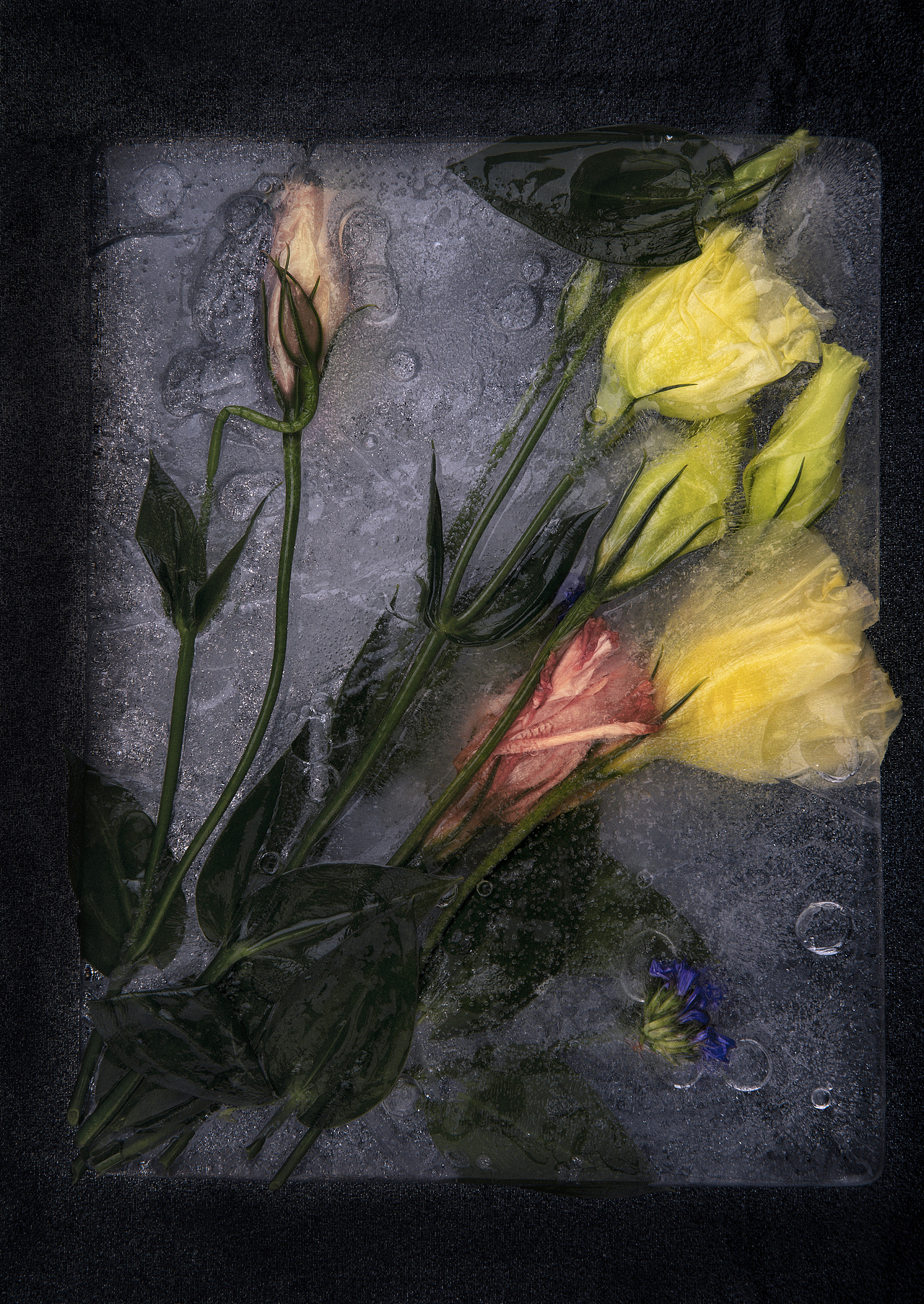 有朝一日观念摄影作品