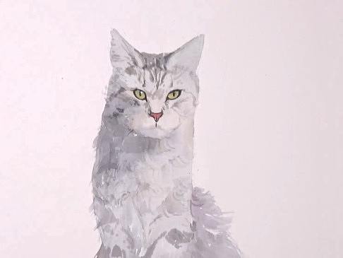 水彩绘画（优雅的小猫）（个人主页-ZMzk4MjAzMjA=） - 绘画 - 站酷设计师萃艺博课堂原创素材 - 站酷ZCOOL