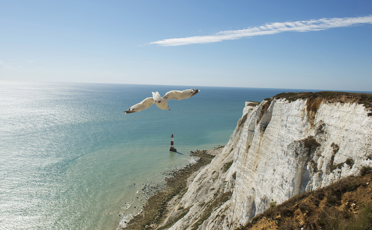 伊斯特本/eastbourne