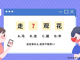 信息流广告