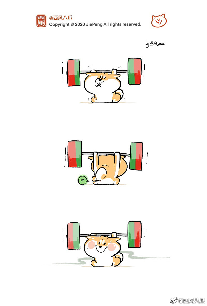 《阿柴枸杞 》运动篇