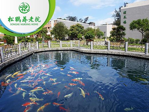 鲜度 | 松鹤养老院 导视设计