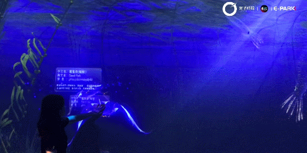 【案例】深圳欢乐海岸720°全景互动未来海洋奇梦馆