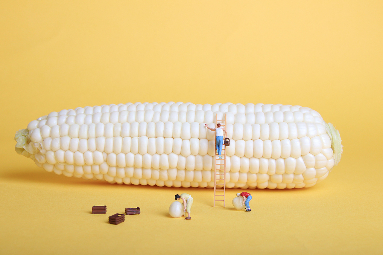 微观创意摄影玉米