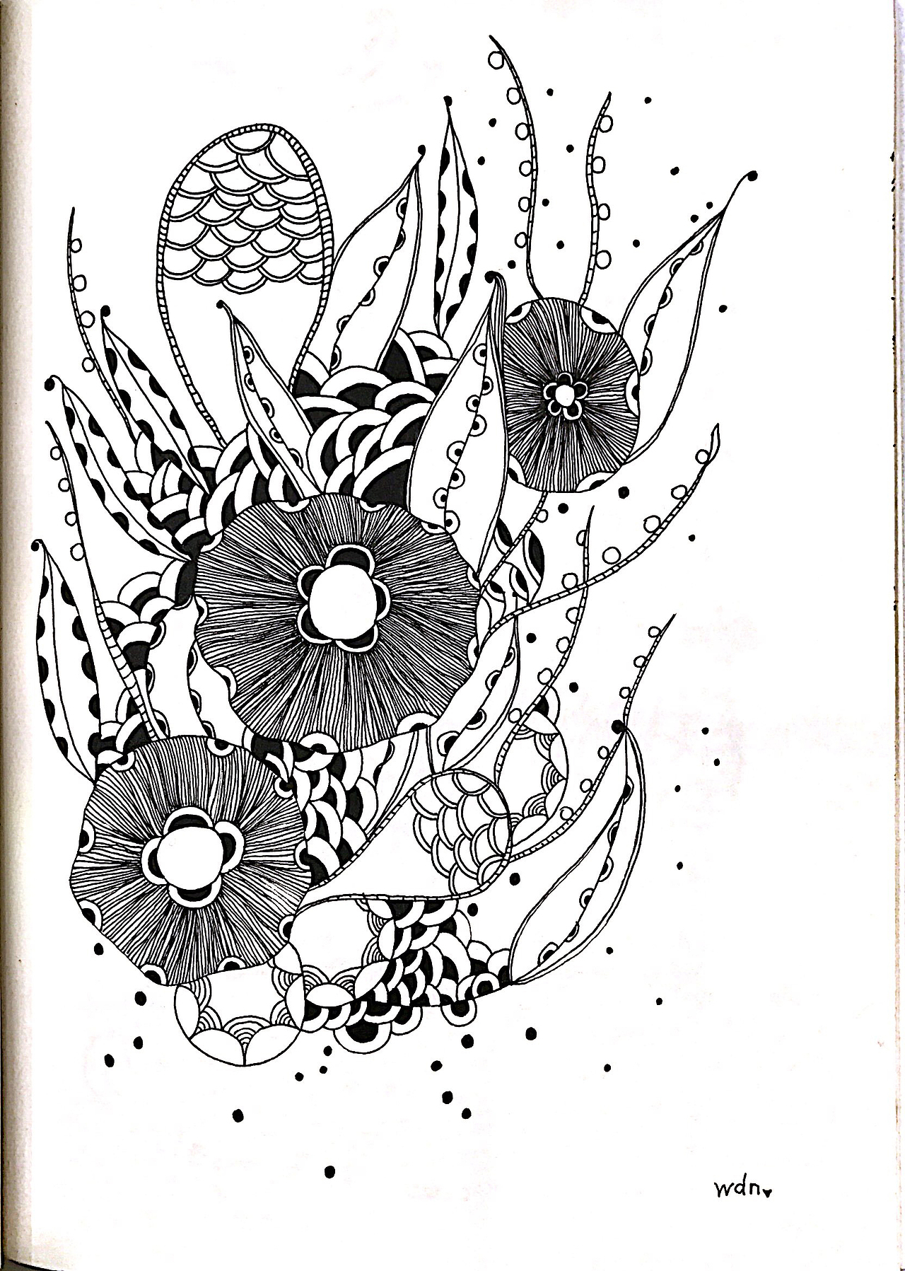 禅绕画线描装饰画手绘插画