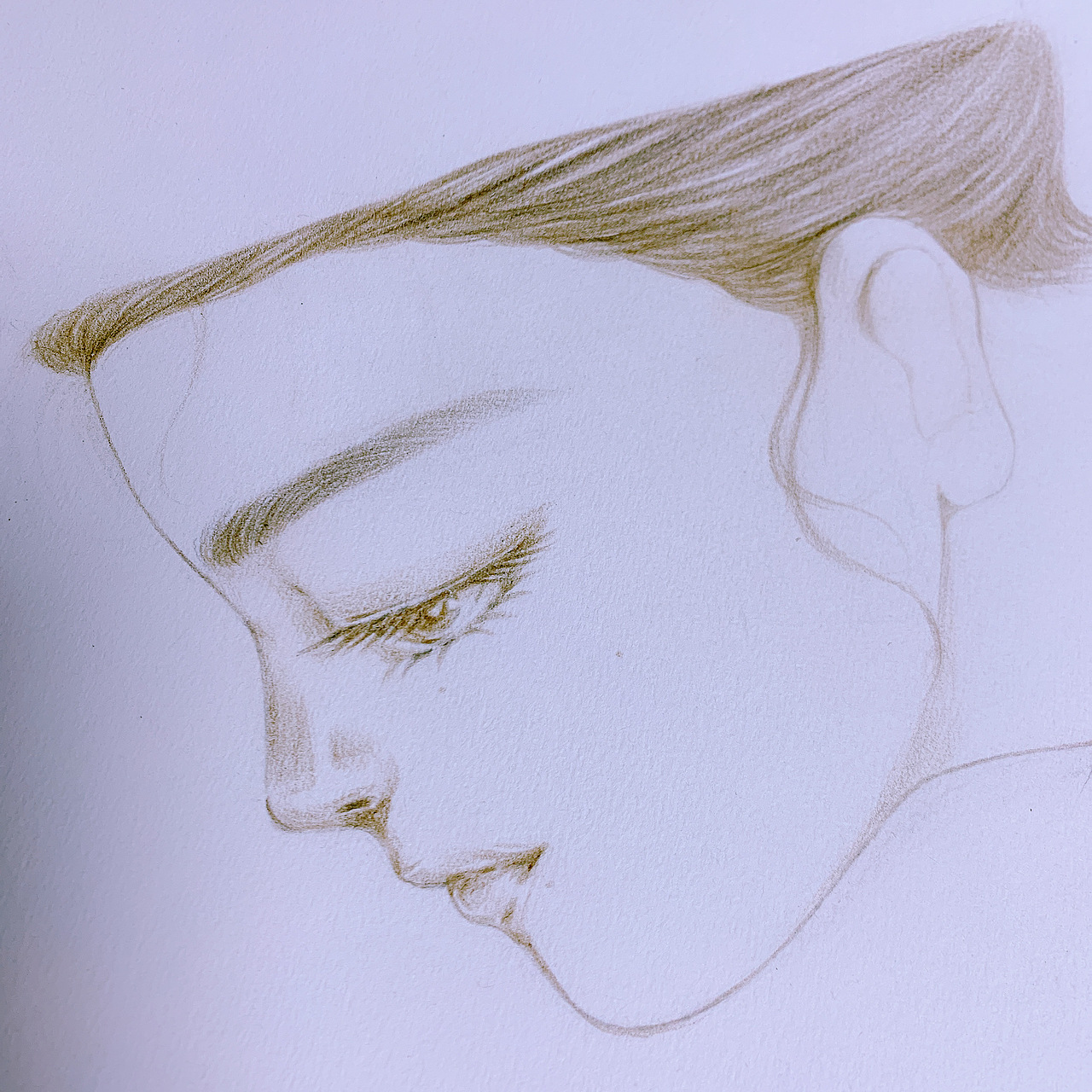 《源氏物语—光之君》