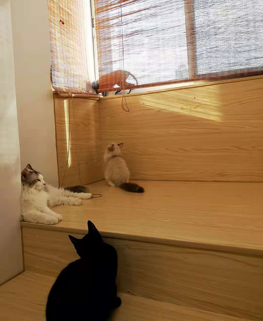 随便拍拍（图ZMjY0NjQ0OTY0） - 其他摄影 - 站酷设计师墙仔原创素材 - 站酷ZCOOL