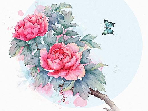 牡丹花