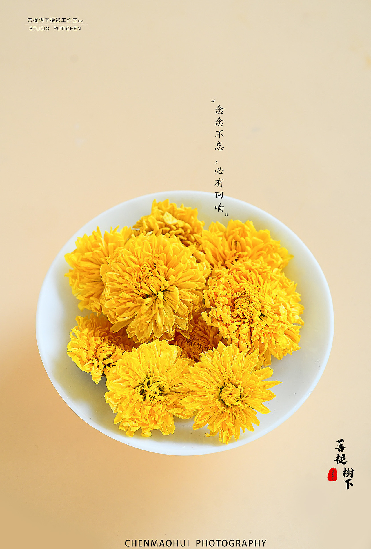 菊花决明子茶（图ZMzE3MDk2ODI4） - 美食摄影 - 站酷设计师摄影师陈茂辉原创素材 - 站酷ZCOOL