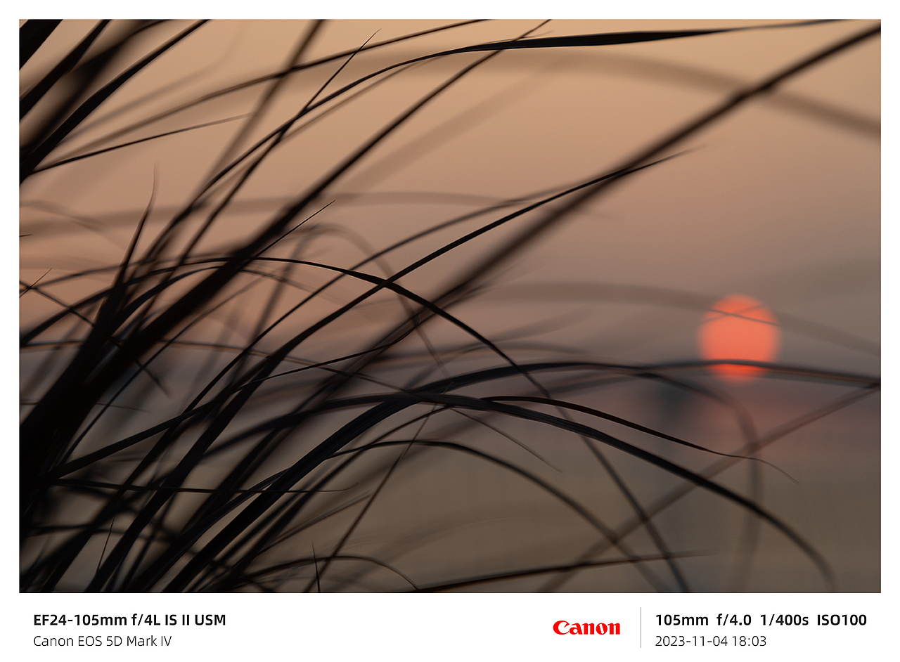 风光摄影-滨海湾落日