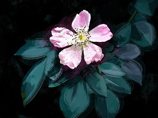 D-012、013、014（个人主页-ZMzYxMDQ2NzY=） - 艺术插画 - 站酷设计师黑糖弟弟原创素材 - 站酷ZCOOL