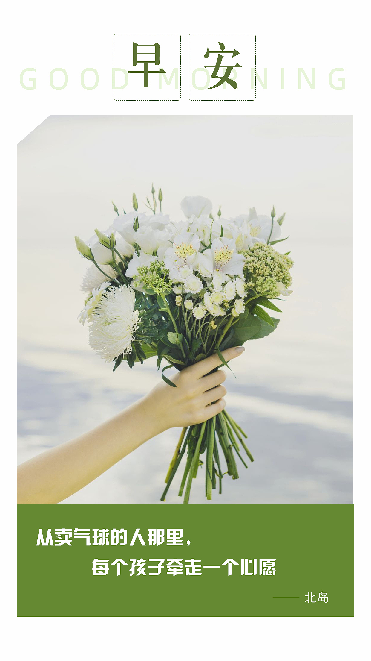 让每一朵花,跟你说早安