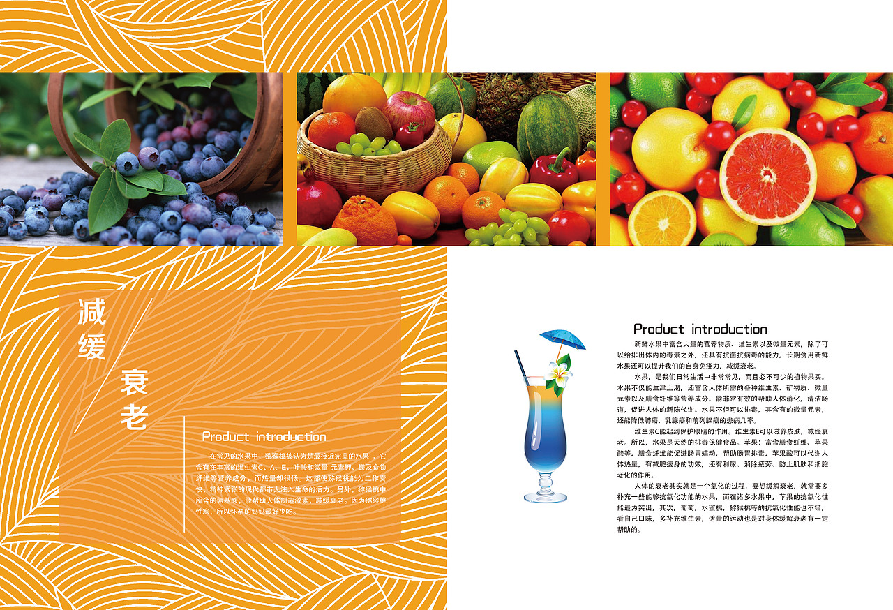 水果画册（图ZMTQyNzI1NzM2） - 书籍/画册 - 站酷设计师李Jazzy原创素材 - 站酷ZCOOL