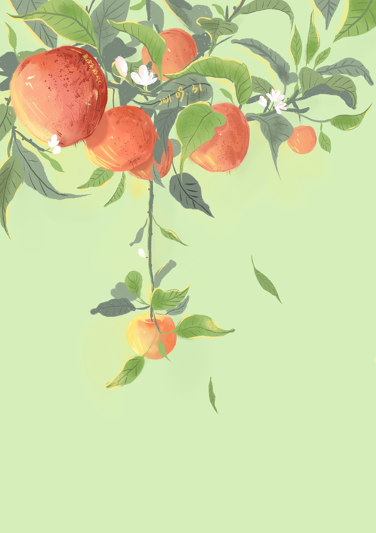 苹果|插画|商业插画|画绘本的lili - 原创作品 - 站酷 (zcool)