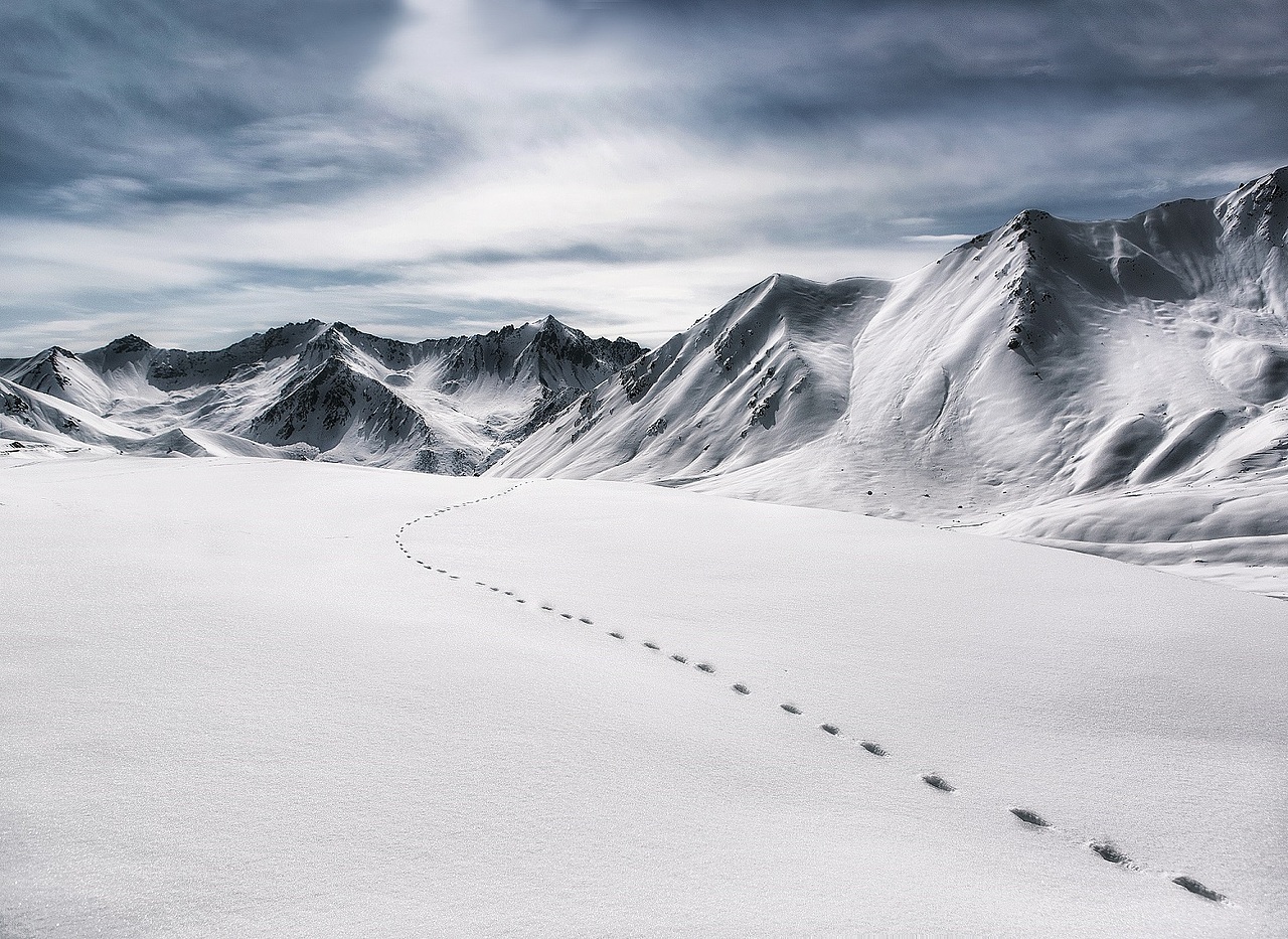 风光组-精灵的足迹-3群-王2毛