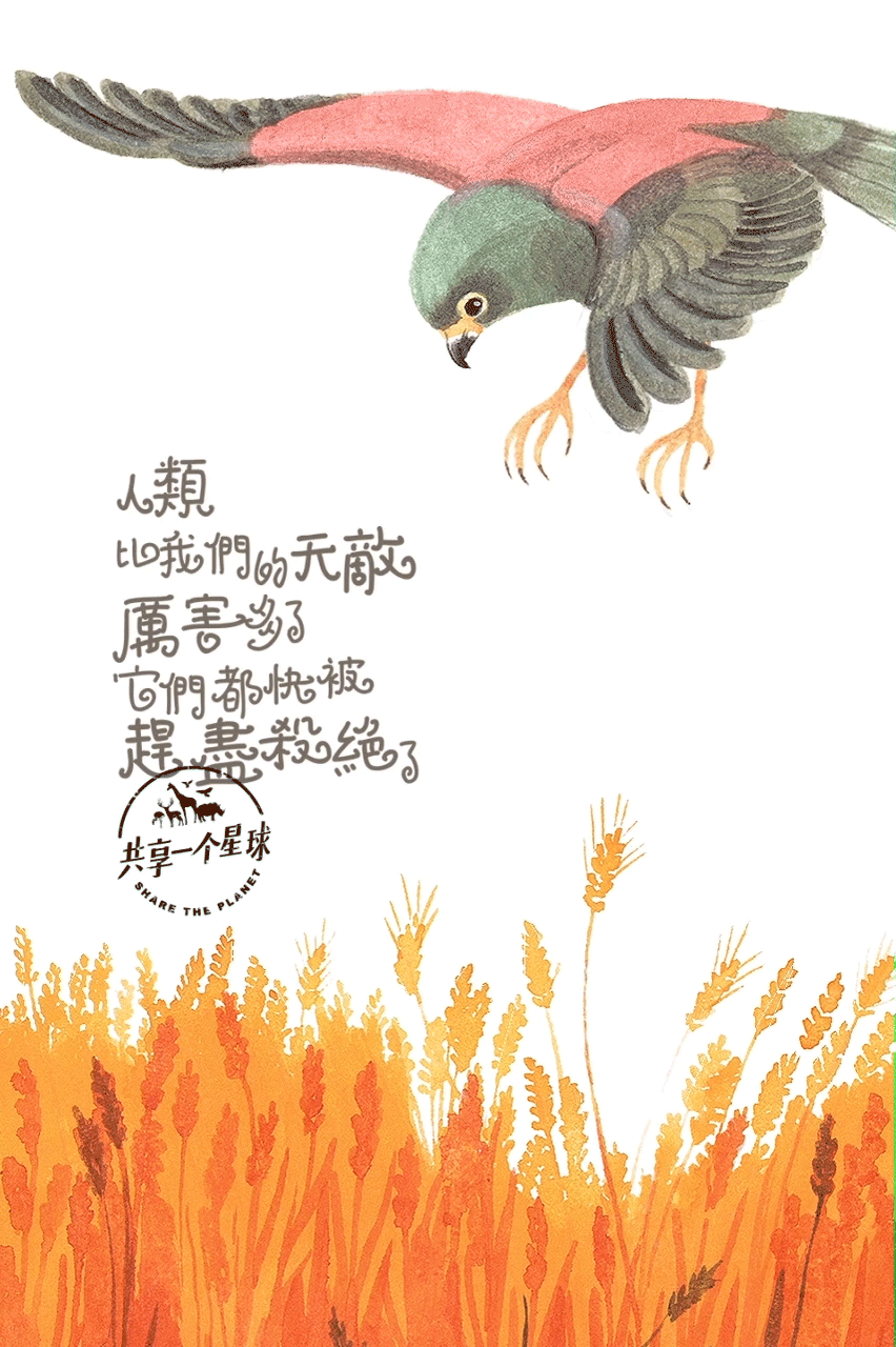 滴滴出行携手雅克贝汉导演新片《地球四季》GIF、H5宣传（图ZNTk2MTkxNDg=） - Motion Graphic - 站酷设计师YIM野姆原创素材 - 站酷ZCOOL