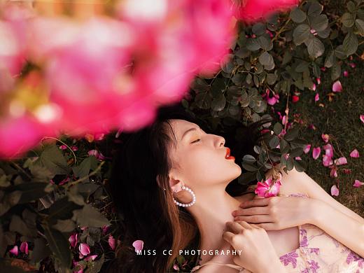 我是你独一无二的玫瑰