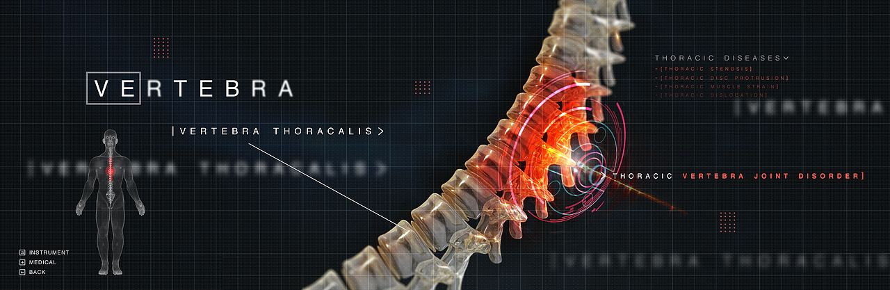 骨骼（图ZMTMxNTQ0NDcy） - 人物/生物 - 站酷设计师Anding原创素材 - 站酷ZCOOL