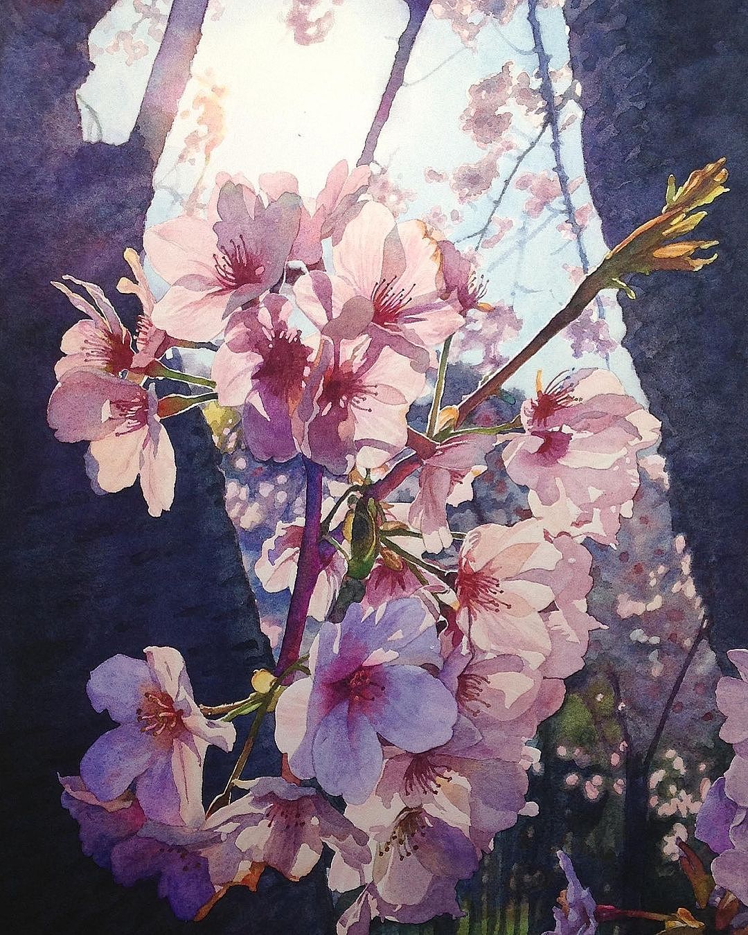 妙笔生花,用色彩描绘阳光下的美好～|插画|艺术插画|tushengong_临摹