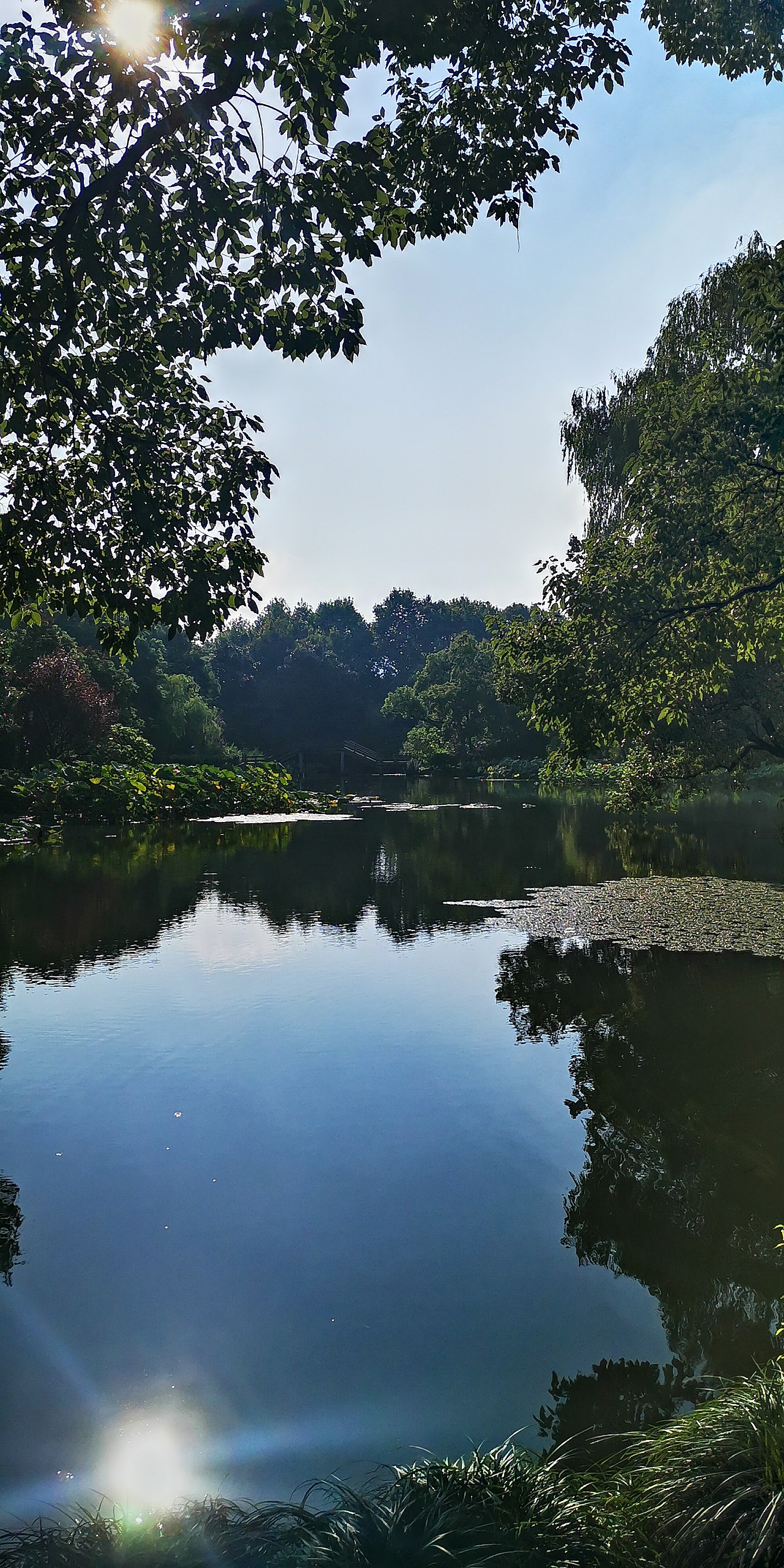 西湖风光 手机摄影