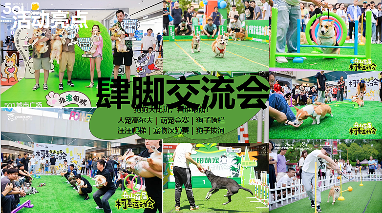 2024宠物派对五一乐反天露营趴圈层活动策划方案-54P